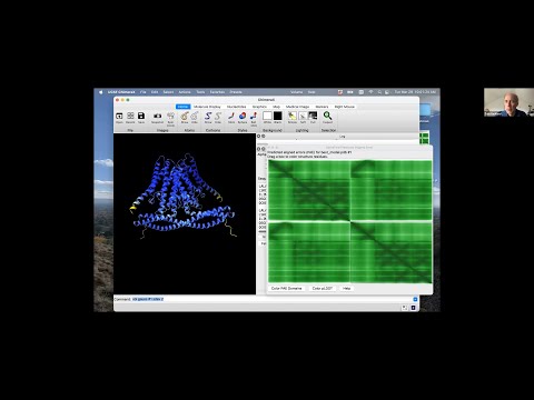 AlphaFold protein structures & ChimeraX cryoEM modeling