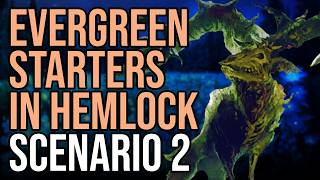 We're going to find Bertolomew (Evergreen Starters Through Hemlock 2)