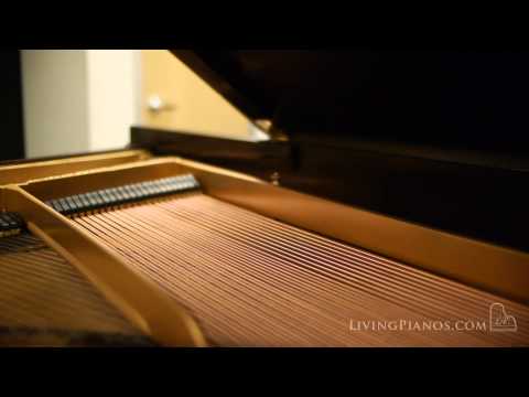 Steinway Model O Grand Piano Review | Living Pianos