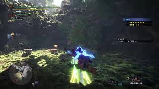 MHW:I   HR999までやる