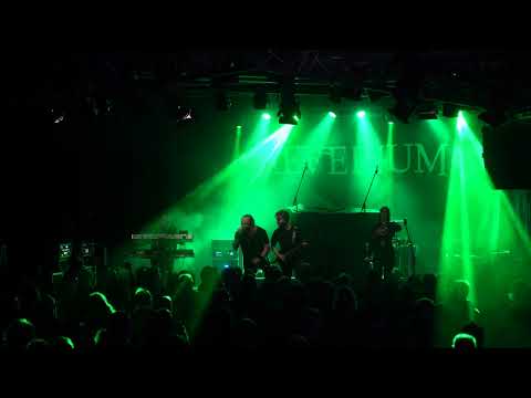 Aeverium in der Sumpfblume Hameln - Impression of Break Out