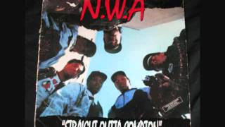 N.W.A. - Parental Discretion Iz Advised (Vinyl)