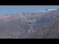 Wings Across Chile Sky Animals Of The Atacama Desert Cuteanimal Wildlife