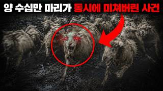 Download lagu The Unprecedented 'Great Sheep Escape' That Paralyzed 1800s England [Mystery] mp3