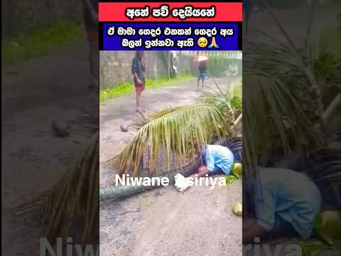 අනේ පව් දෙයියනේ මොකක්ද මේ රටට වෙන්න යන්නේ 😭🙏 #viral #shorts