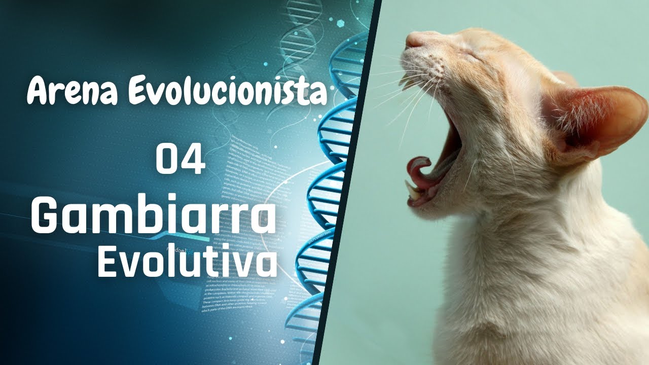 Watch Now Pênis farpado dos gatos | Gambiarras Evolutivas? Arena Evolucionista ? Pênis farpado dos gatos | Gambiarras Evolutivas? Arena Evolucionista ?