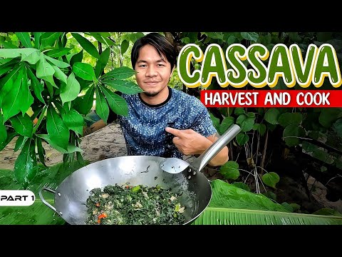 P1-Pag May Itinanim, May Aanihin - EP1093