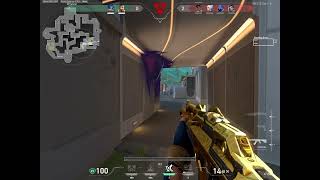 Spotlight Clip