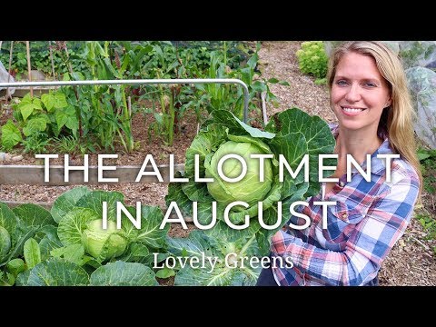 download lagu mp3 mp4 Allotment Garden, download lagu Allotment Garden gratis, unduh video klip Allotment Garden