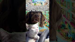 When you've almost made it through the holidays... #cruise #shorts #eatsleepcruise