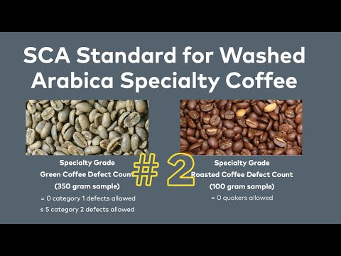 SCA Green Coffee Defects Explained. عيوب القهوة الخضراء #2