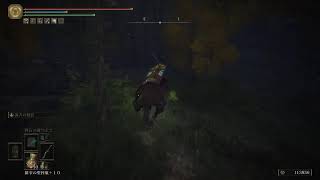 【ELDEN RING】初見エルデン本日もやってくッッ【エルデン リング】#31