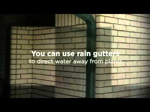 Tustin, CA Rain Gutters - Benefits of Installing Rain Gutters