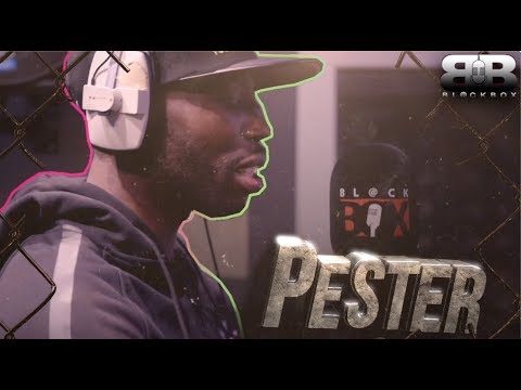 Pester | BL@CKBOX S15 Ep. 73
