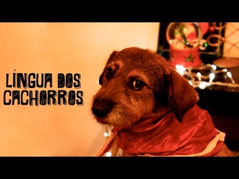 Língua Dos Cachorros - Extrômodos