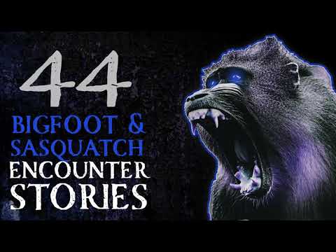 44 TTRUE SCARY STORIES - BIGFOOT HORROR STORIES
