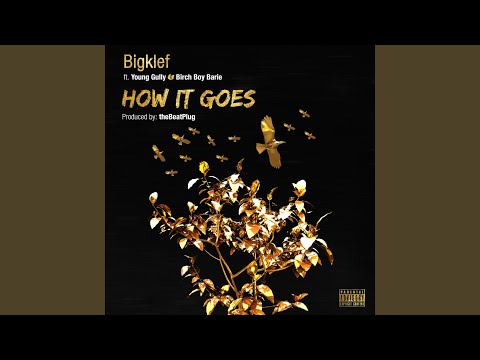 How It Goes (feat. Young Gully & Birch Boy Barie)