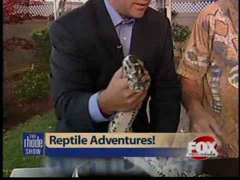 Promotional video thumbnail 1 for Bwana Iguana Reptile Adventure