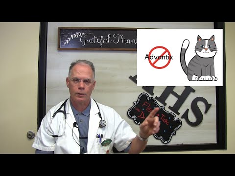 What you need to know about fleas and ticks