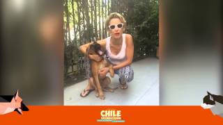 Claudia Schmidt invita a festival Chile Incondicional