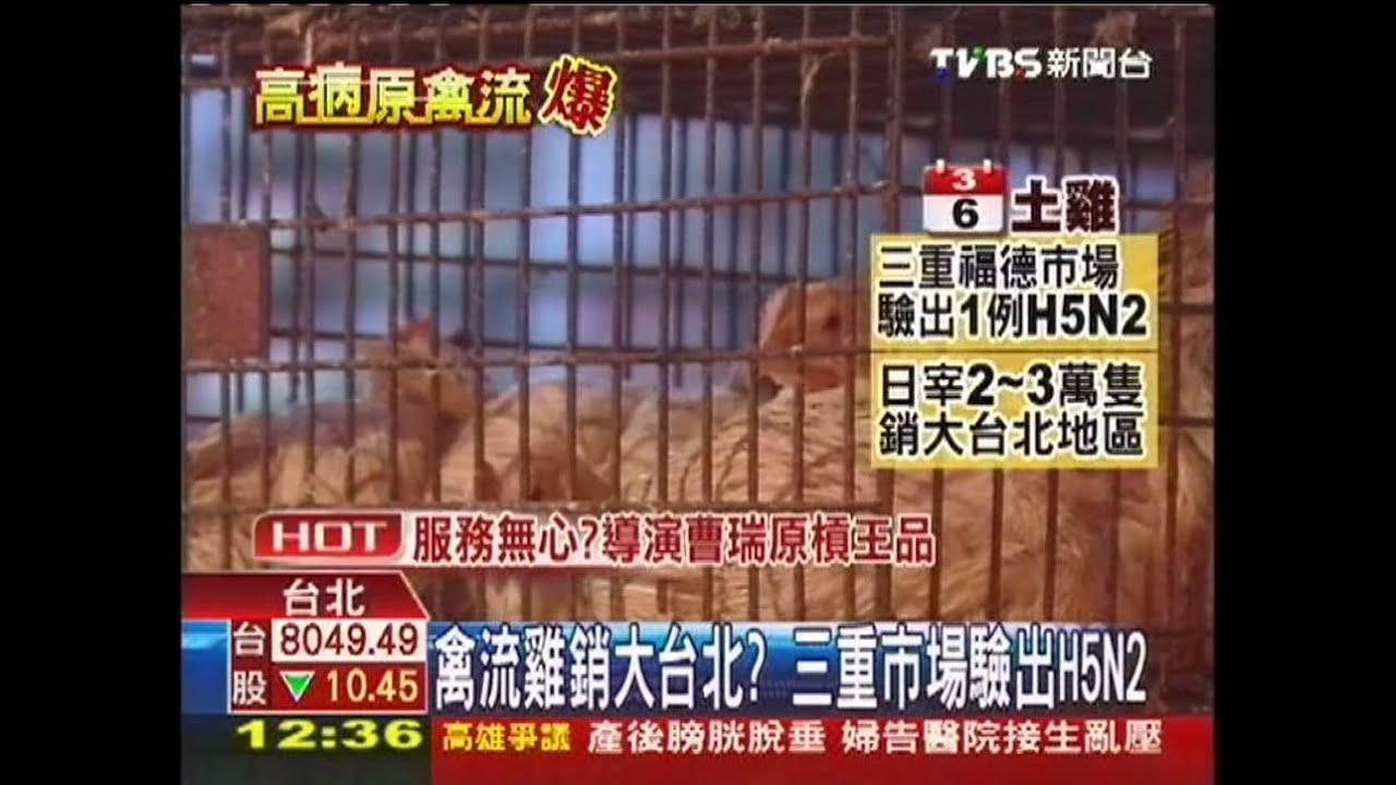 防疫線破? 三重福德活雞驗出H5N2