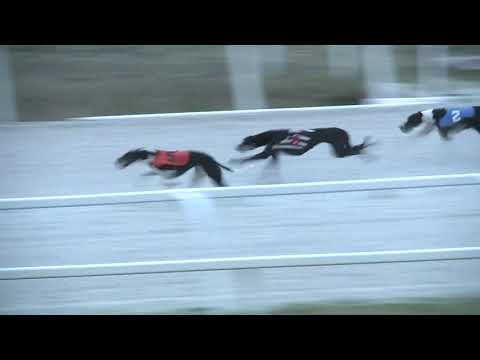 2017.09.01. 5. futam - Agár