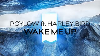 Wake Me Up Music Video