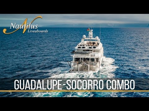 The Incredible Guadalupe-Socorro Combo Trip  l  Nautilus Odysseys Episode 20