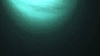 Oblivion Dust - Again