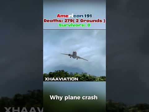American airlines flight 191 different animation