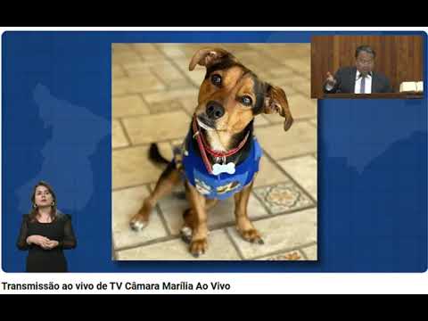 Um legado vivo