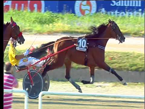 Trotto 10/06/2018 - 7ª corsa