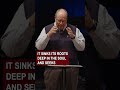 Pride is the dandelion of the soul | Pastor Brian Lee