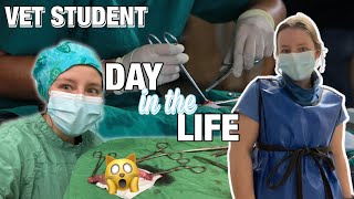 DAY IN THE LIFE OF A VET STUDENT: a day at my mixed animal externship #drinkjavy