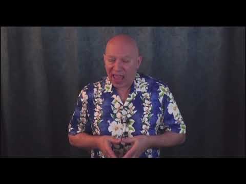 Bashar answers: Do animals have an ego?