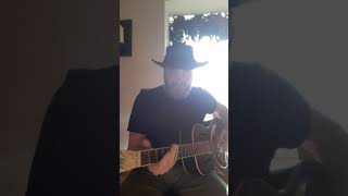 Love you like a man cover Chris Smithers
