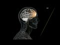 Which Symptoms Are Concussion Red Flags After You Hit Your Head