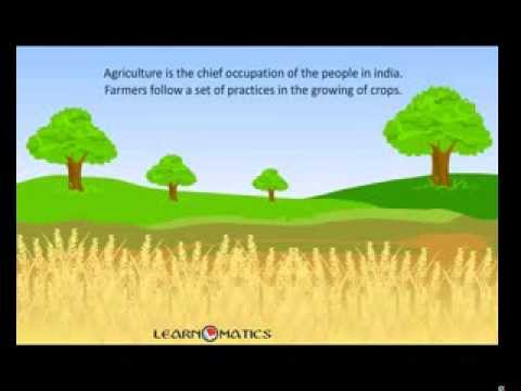 Cultivation of crops