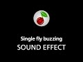 Single fly buzzing, sound effect 