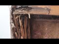 Wooden Beams Destroyed by Termites in Brick, NJ