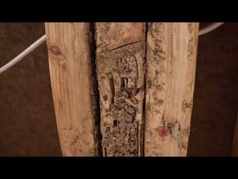 Wooden Beams Destroyed by Termites in Brick, NJ