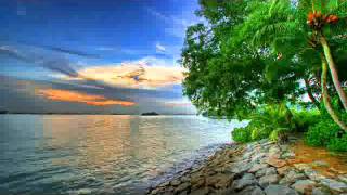 LAURENT C. - Get Back To The Music