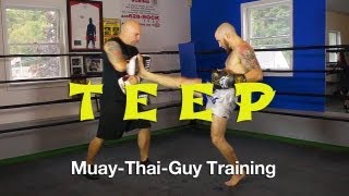 How To Throw A Teep / Push Kick