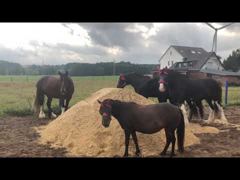Neuer Sand