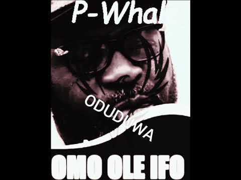 P-Whale - Damo