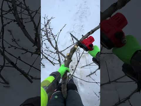 Обрізка гілок у саду