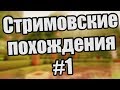 Стримовские похождения #1 - А давайте в Minecraft? 