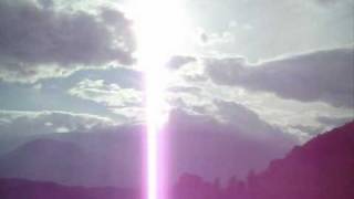 Eucalyptus (The Jesus Lizard)