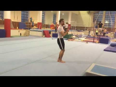 Lví silou - vzletem sokolím