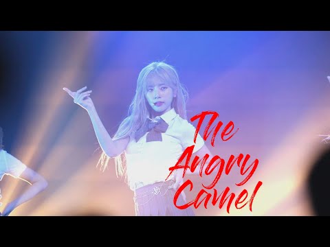 190906 KL Concert - 드림캐쳐 Dreamcatcher - Full Moon Jiu 직캠